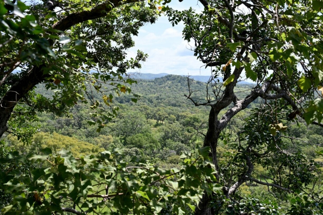 Left abandoned and ravaged throughout Ivory Coast's decade of war and unrest, Comoe National Park is slowly coming back to life