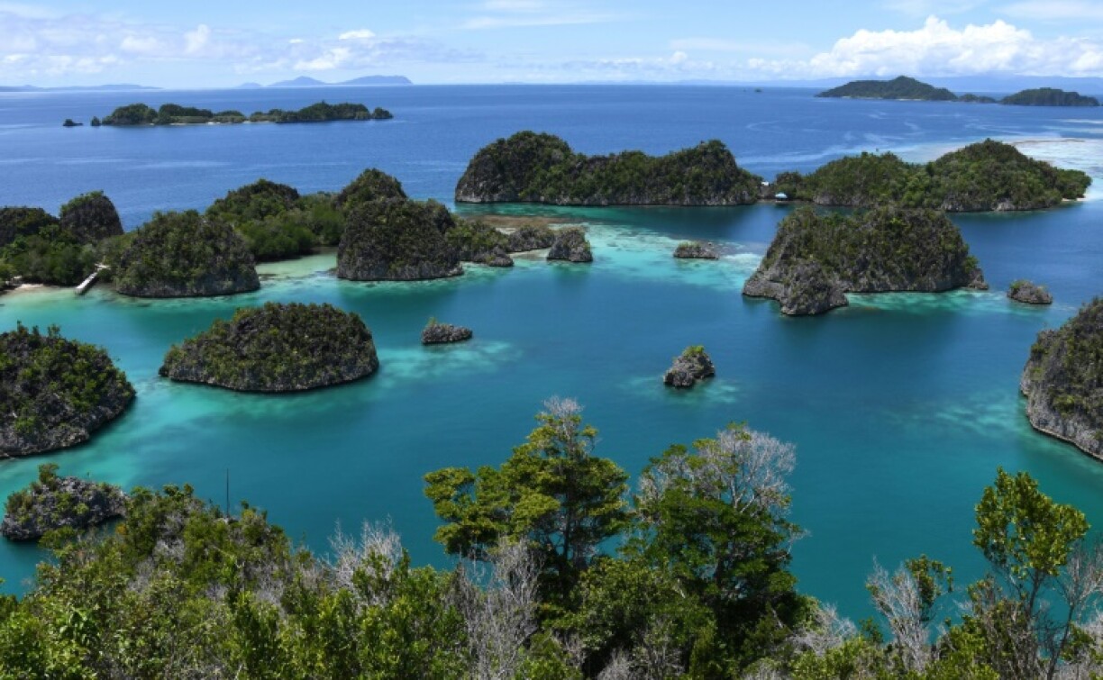 Raja Ampat sits in the Coral Triangle and is thought to be one of the world's most pristine reefs