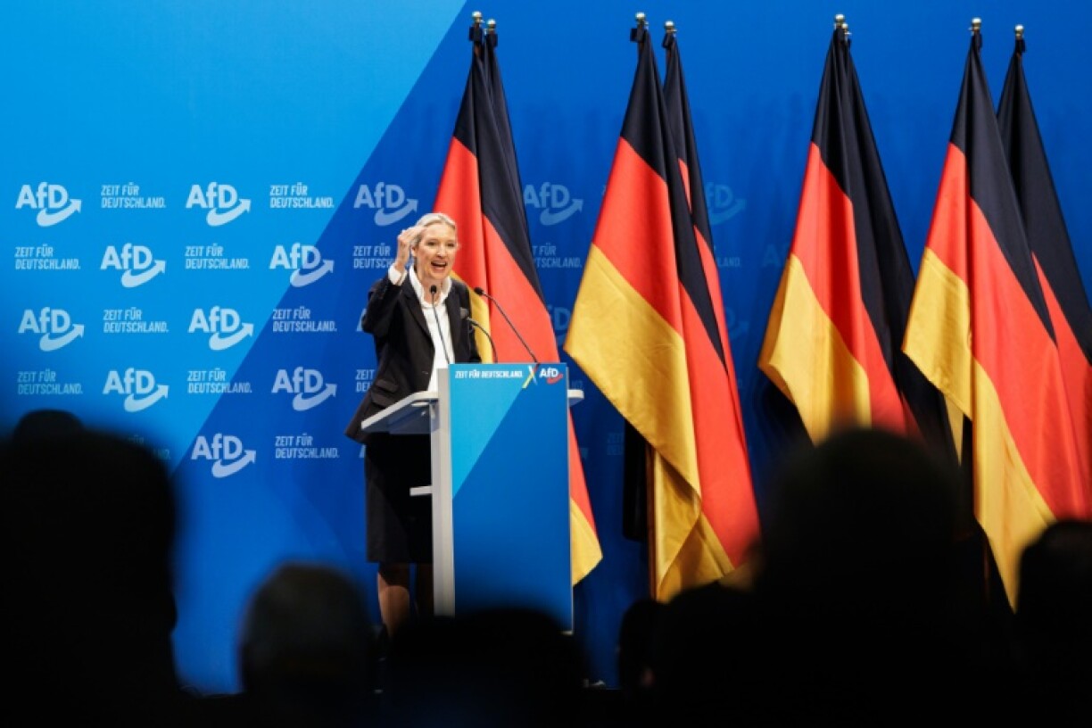 Weidel condemned the protestors outside as 'a left-wing mob'