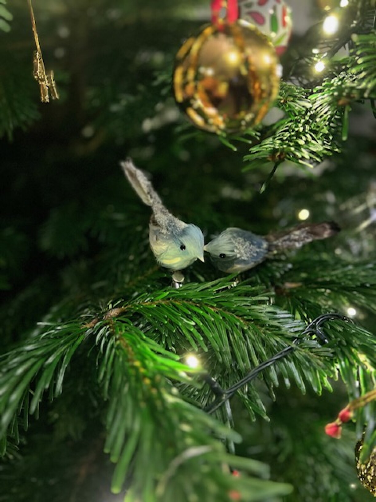 From reader fabhansen