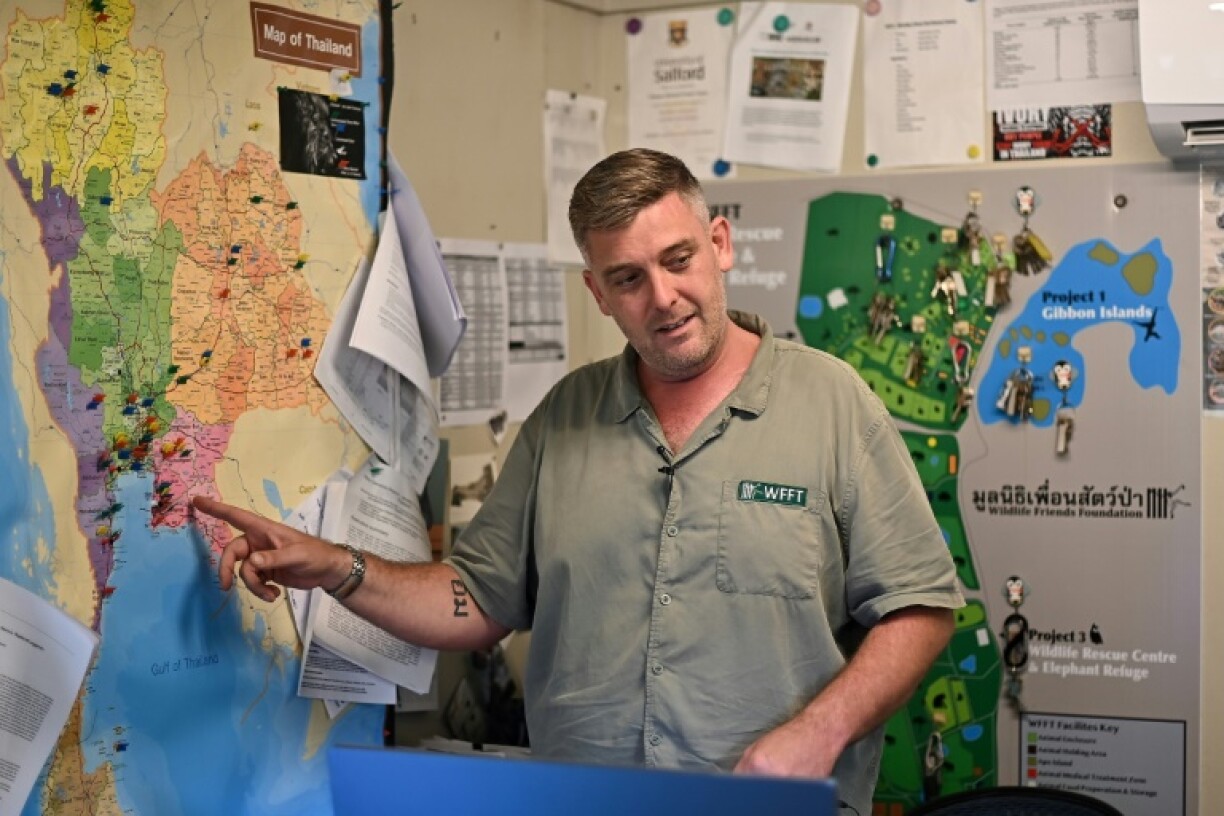 Tom Taylor, of conservation group Wildlife Friends Foundation Thailand, says social media is fuelling a boom of lion ownership