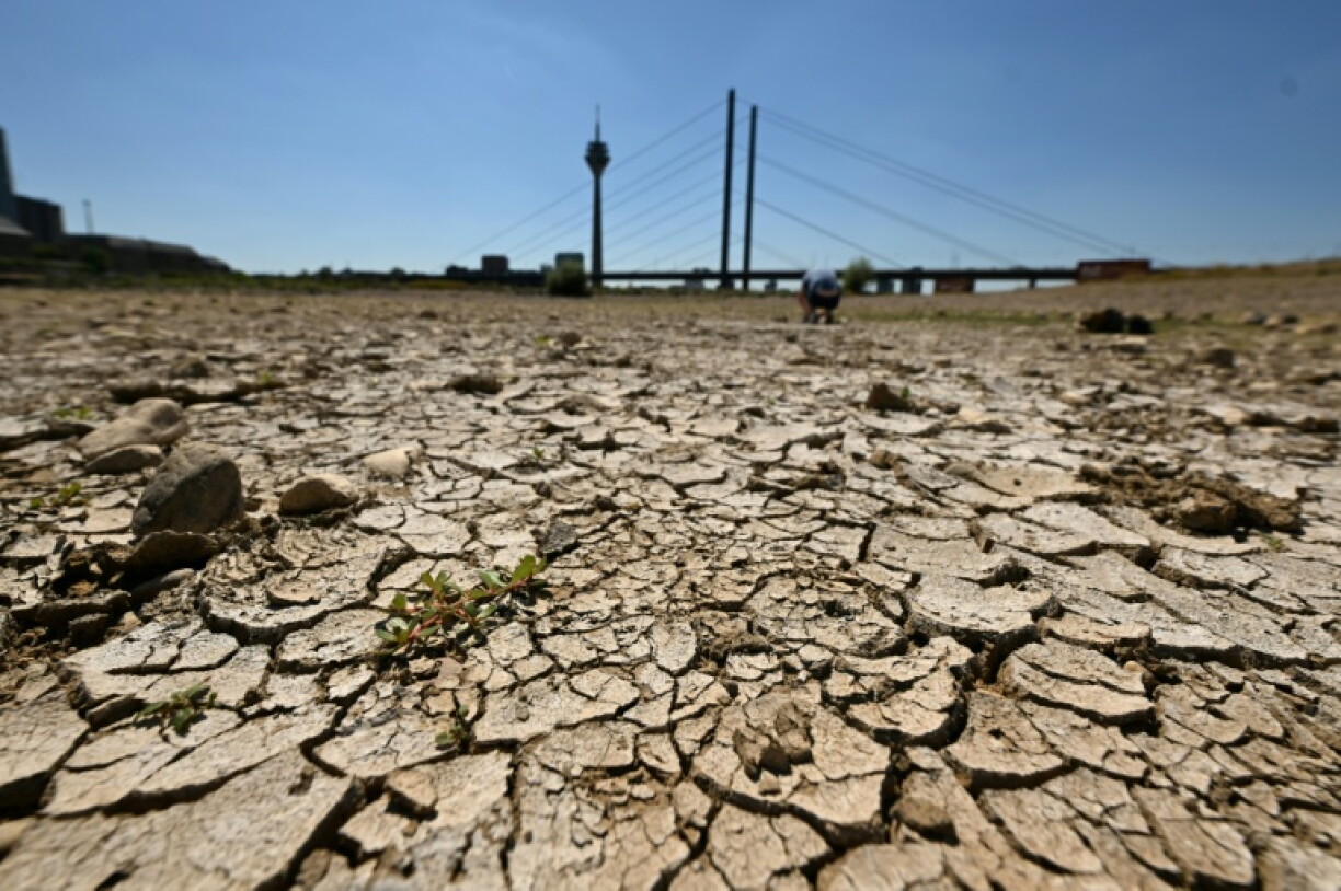 Aufgrund der Trockenheit hat das Niedrigwasser am Rhein am Wochenende in Bonn und weiteren Orten neue Tiefststände erreicht. Mit nur noch 21 Zentimeter wurde Sonntagmittag in Düsseldorf der bisherige Rekordwert um vier Zentimenter unterschritten.