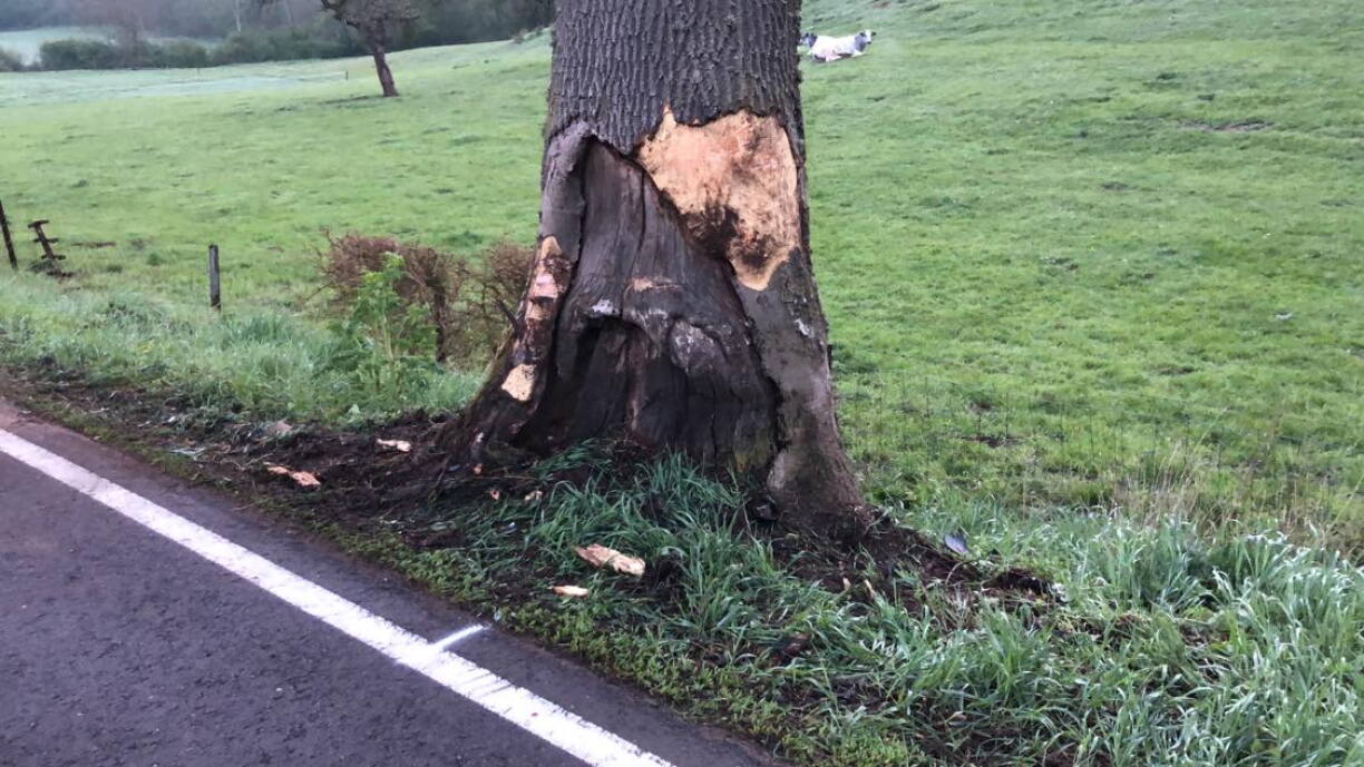 L'arbre qu'a percuté le motard la nuit dernière photographié le 9 mai 2021