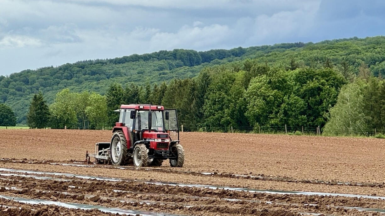 Photo d'illustration