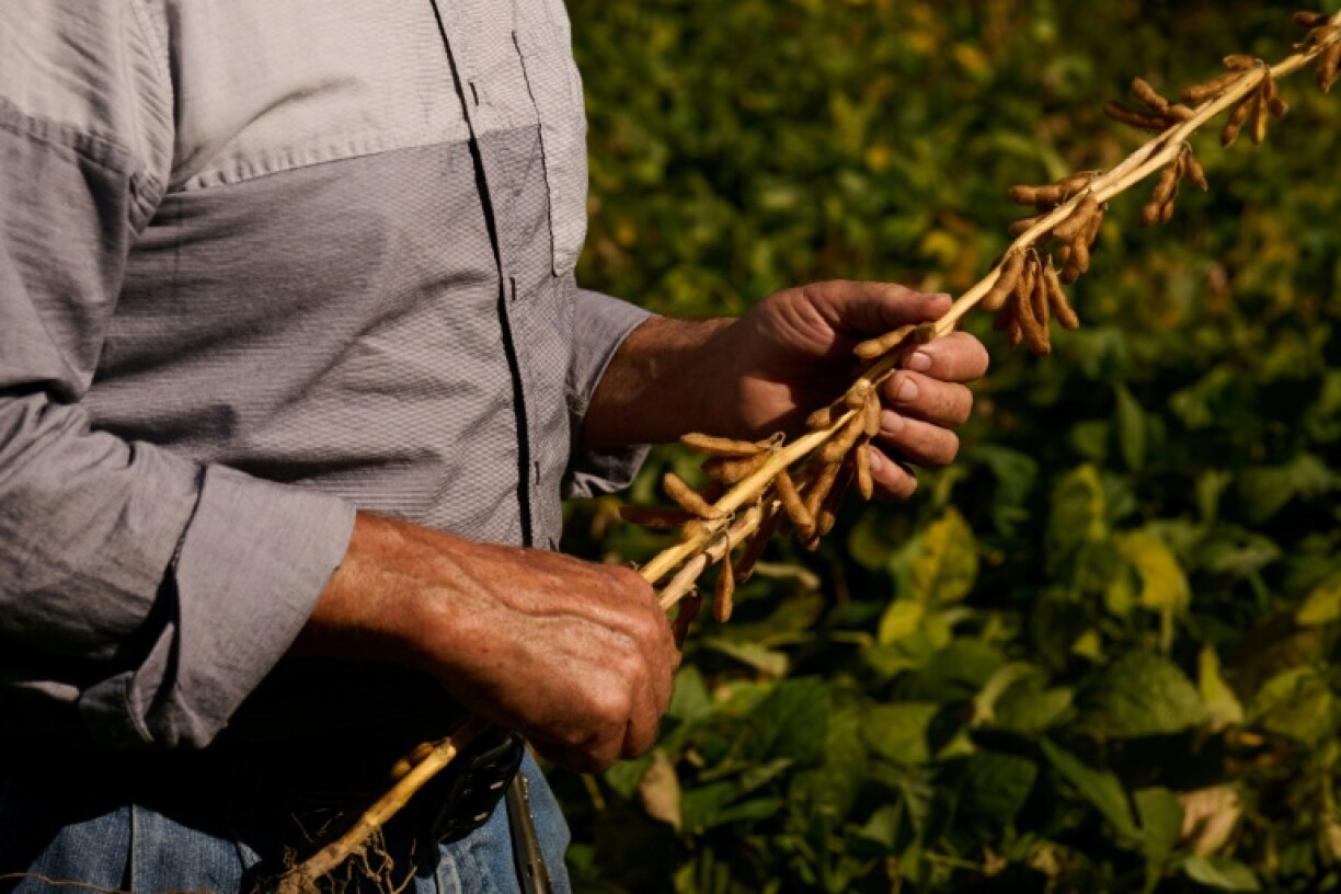 Joe Logan, 77, says most farmers have been living off thin profits