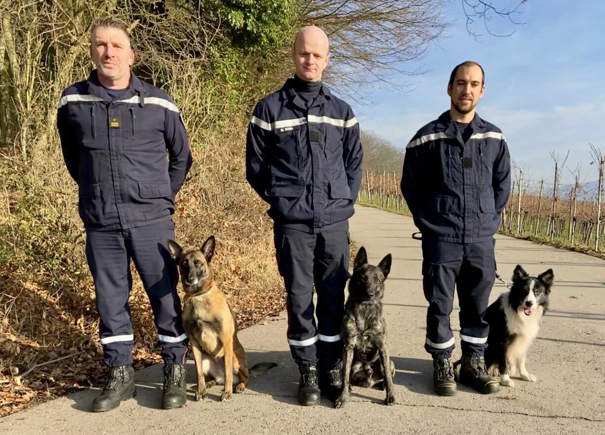 D'Permanence vum Groupe Cynotechnique vum CGDIS