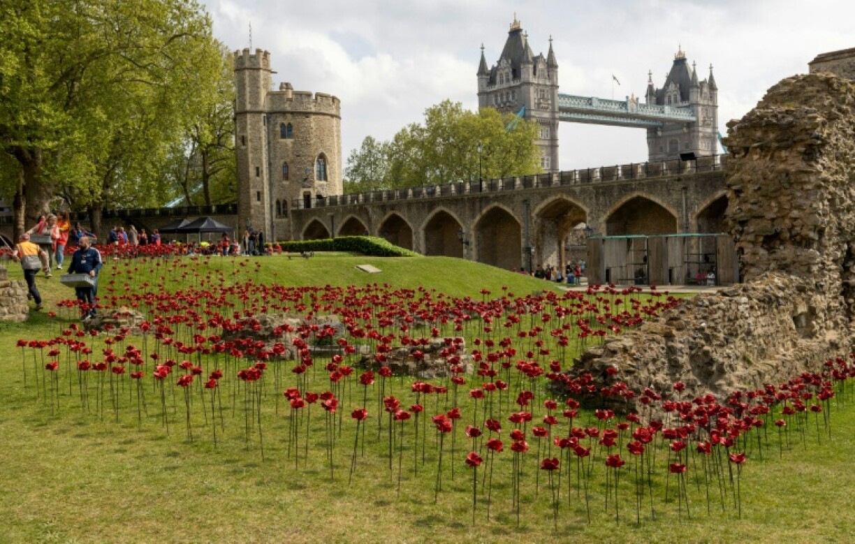 Poppies are a traditional British symbol of remembrance for those killed in the two World Wars