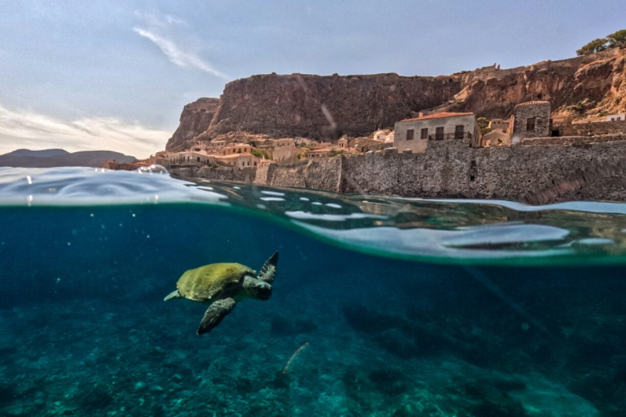 Nations are falling behind on their joint goal to halt the destruction of nature by 2030