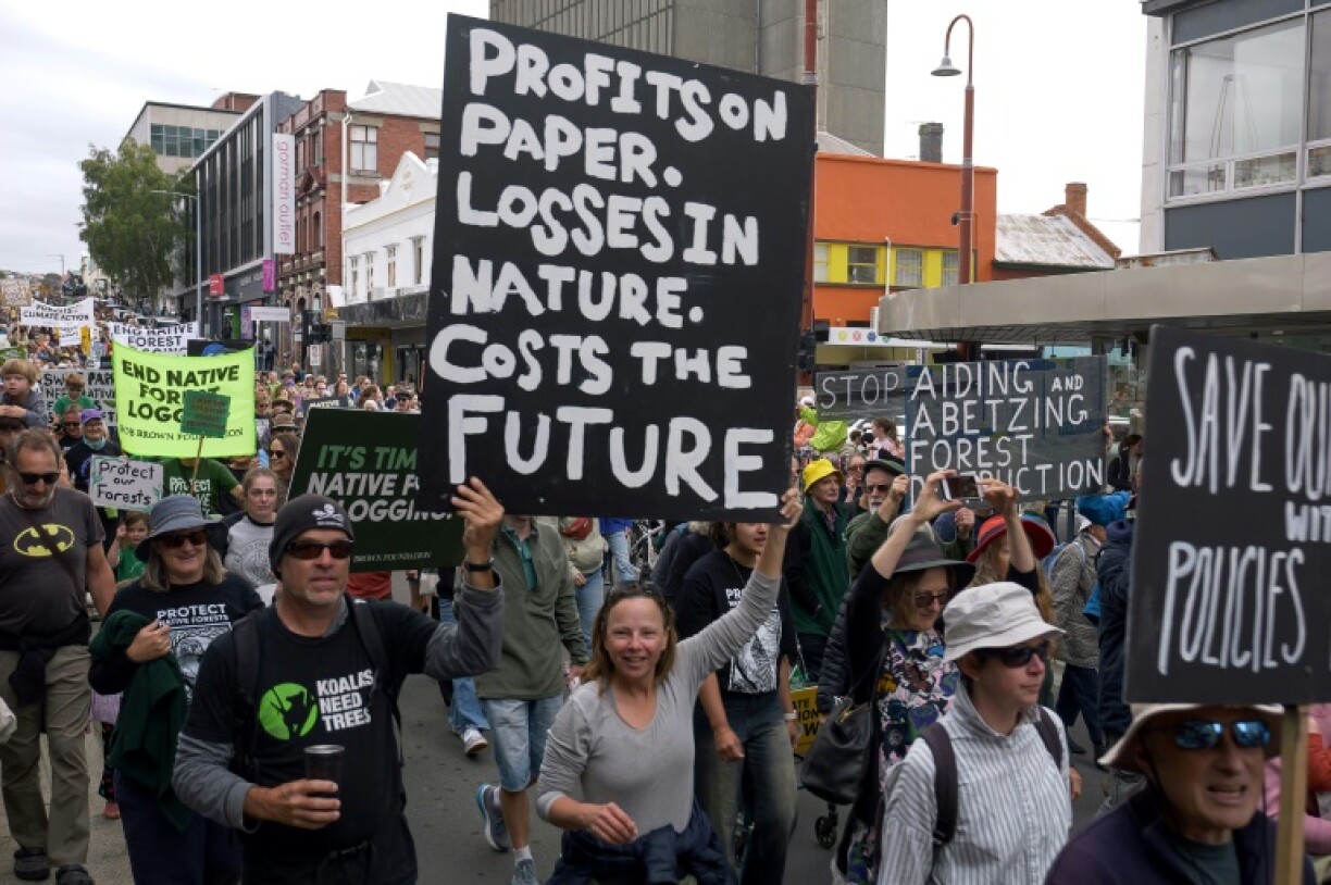 Protesters rally in March 2025 against the logging of native trees in Hobart, Tasmania