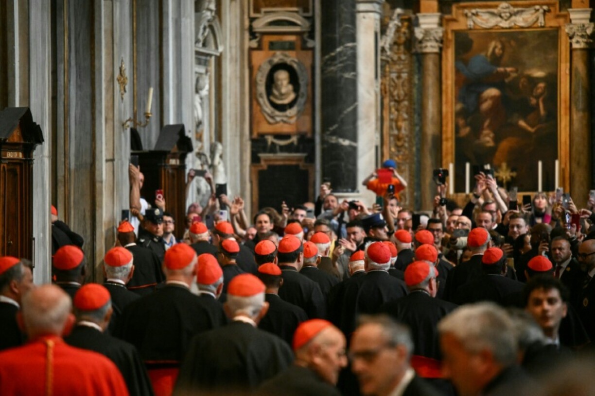 Cardinals from around the world will vote to elect Pope Francis's successor