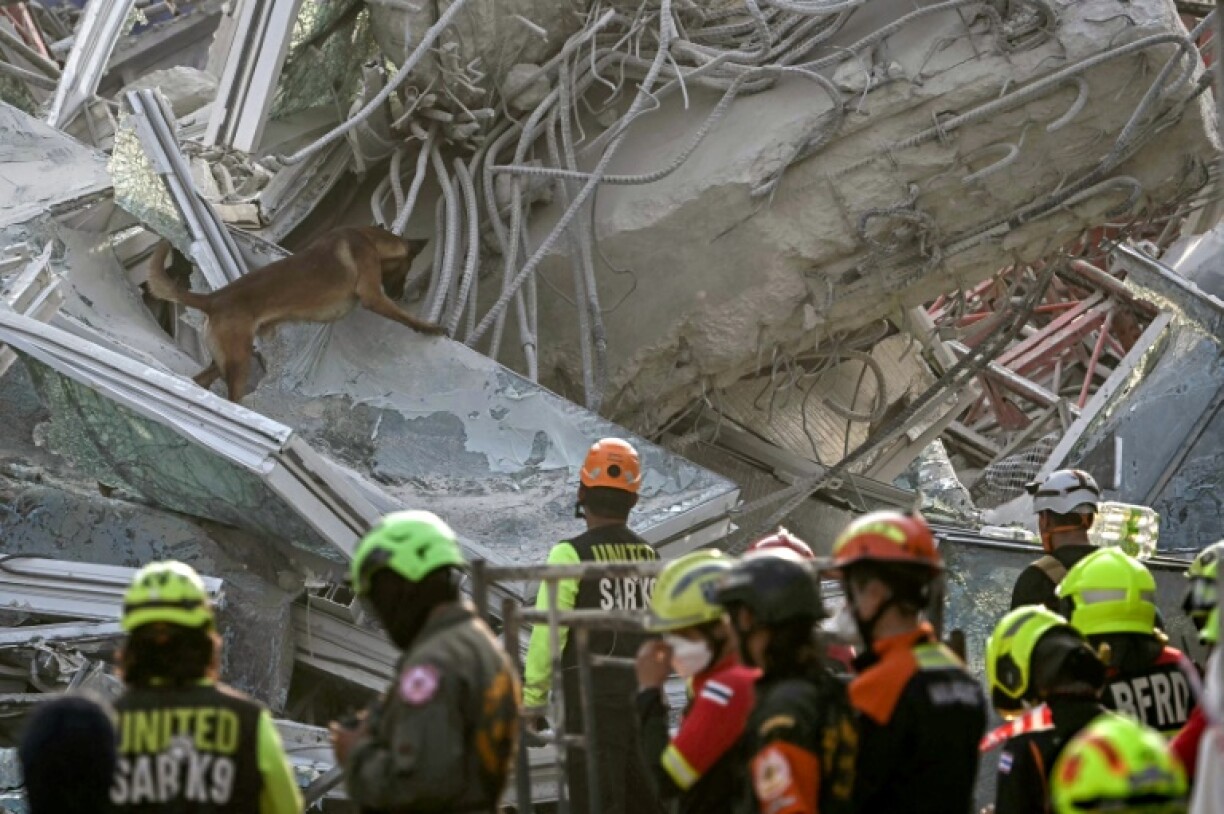 Rescuers say the dogs' presence comforts those waiting for news of their families