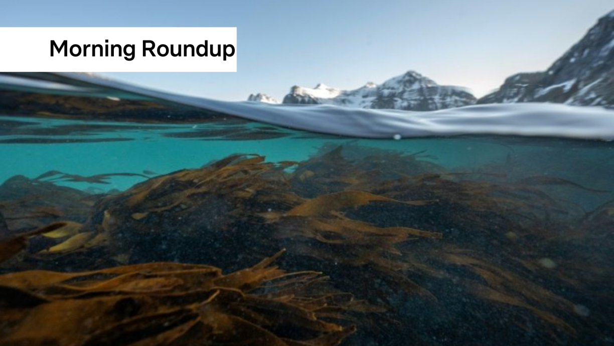 Oceans have kept the Earth's surface liveable by absorbing heat produced by carbon pollution