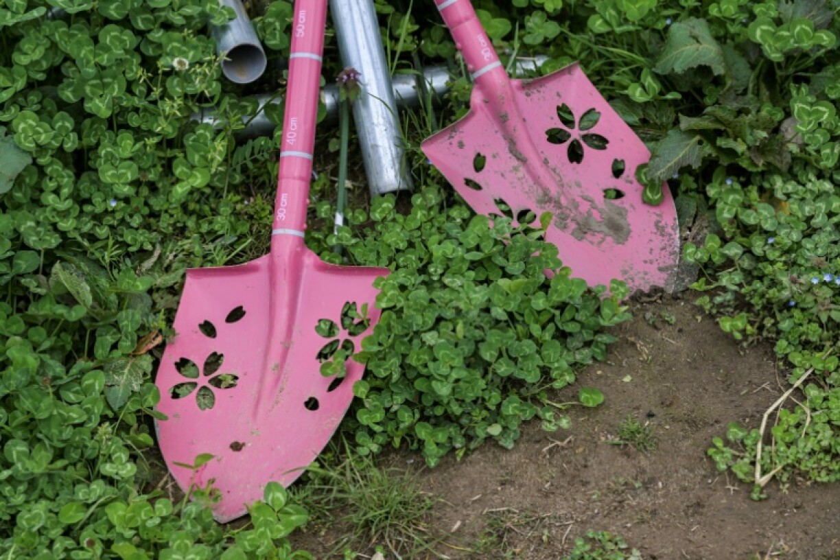 Topsoil was collected as part of large-scale decontamination efforts after the devastating meltdown at the Fukushima Daiichi nuclear plant