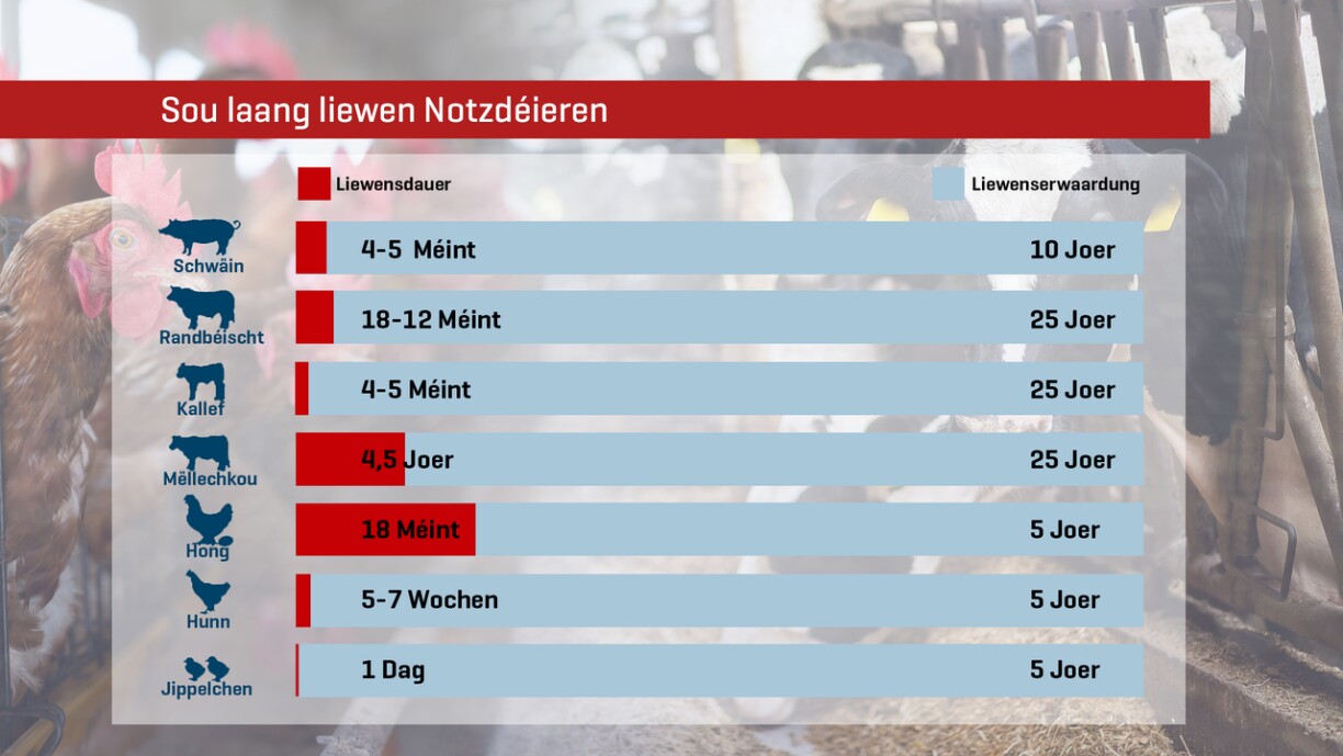 Source: GEO Magazin, no den Informatioune vum däitsche Ministère fir Ernierung a Landwirtschaft.