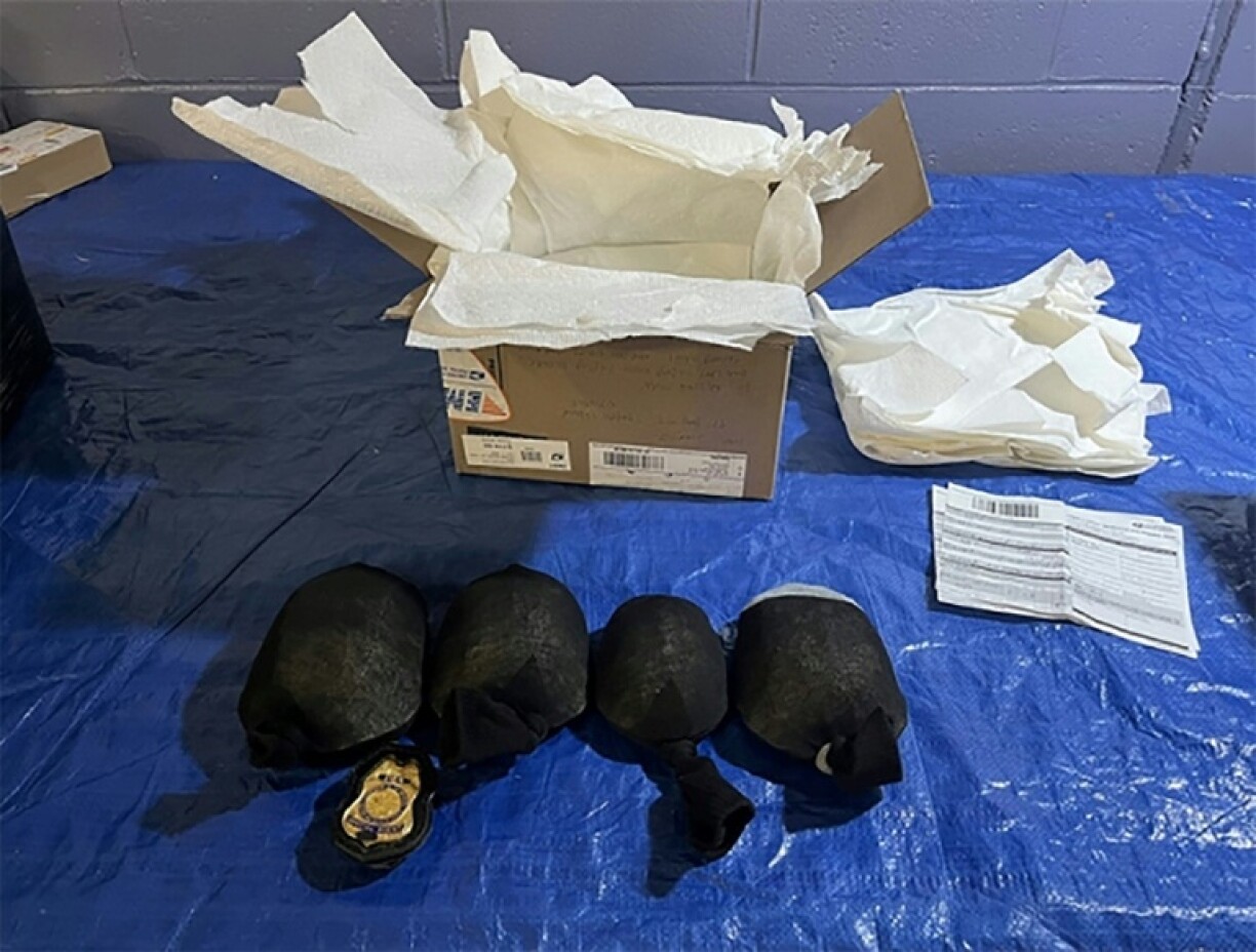 A handout image released by the District Court for the Western District of New York from the United States Fish and Wildlife Service shows the sock-wrapped protected turtles intercepted during a border inspection