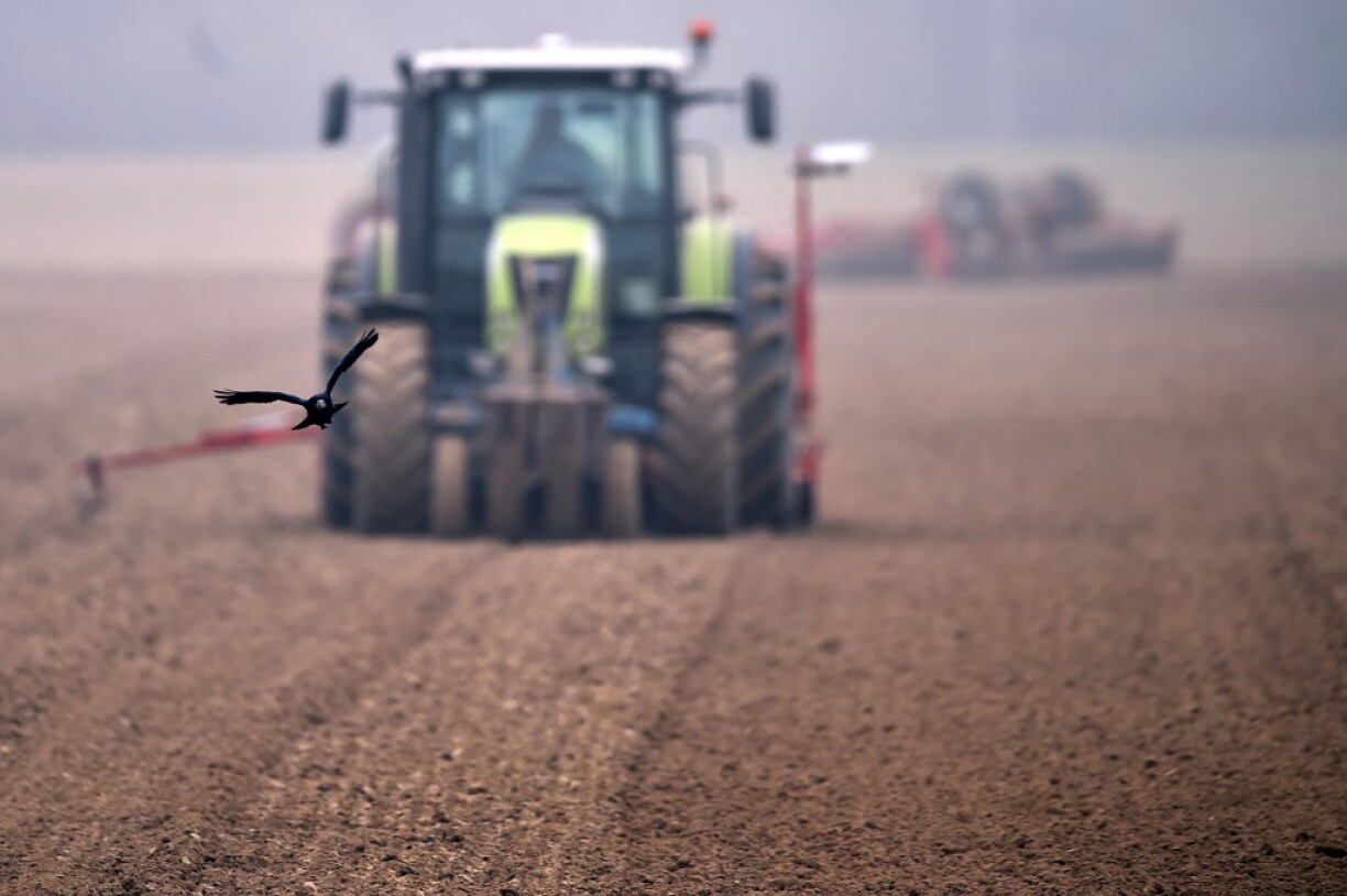 Image d'illustration