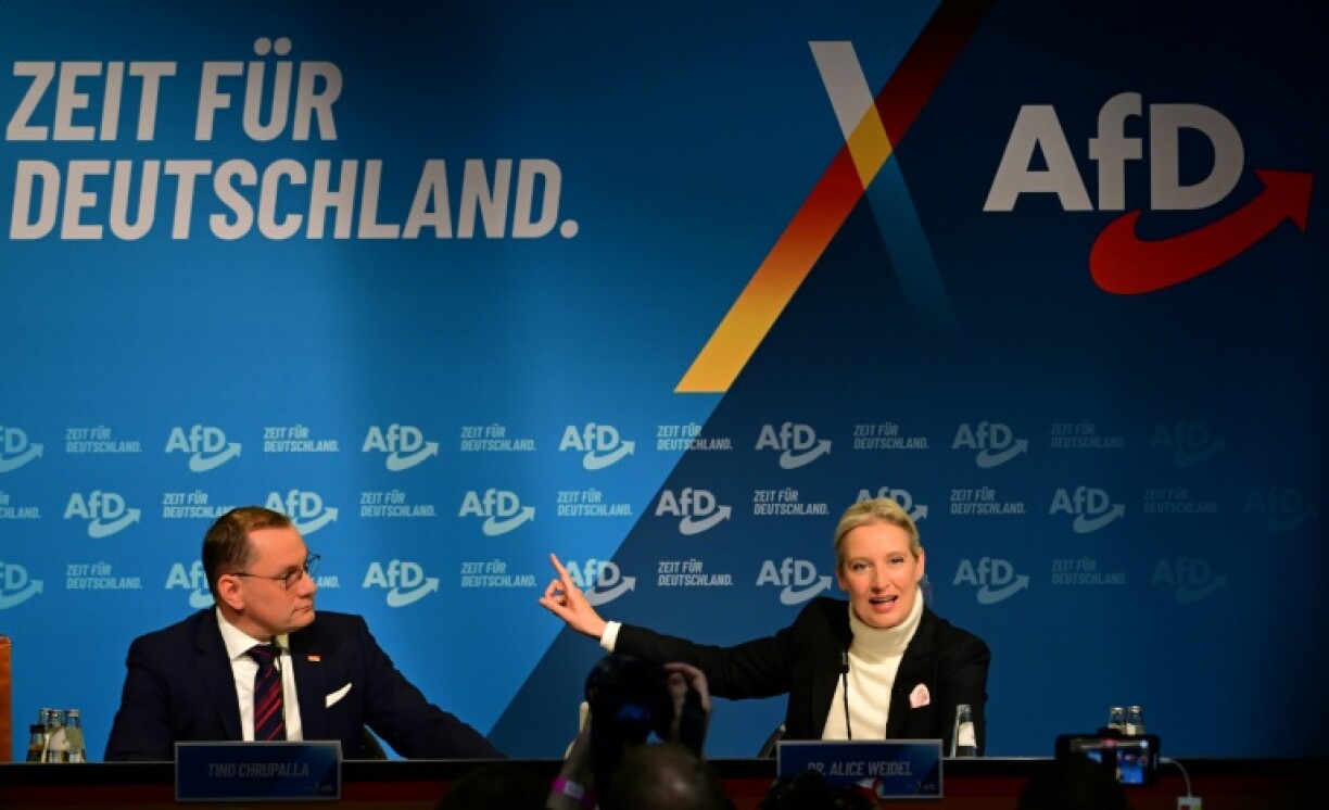 Alice Weidel, co-leader of Germany's far-right AfD party, welcomed Musk's comments