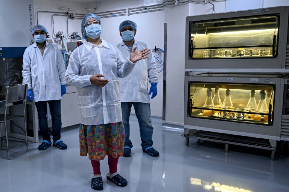 Priyanka Priyadarsiny (c), responsable recherche et développement, explique le processus de développement d'un vaccin au sein du laboratoire l'entreprise pharmaceutique Panacea Biotec, le 29 janvier 2026 à New Delhi, en Inde