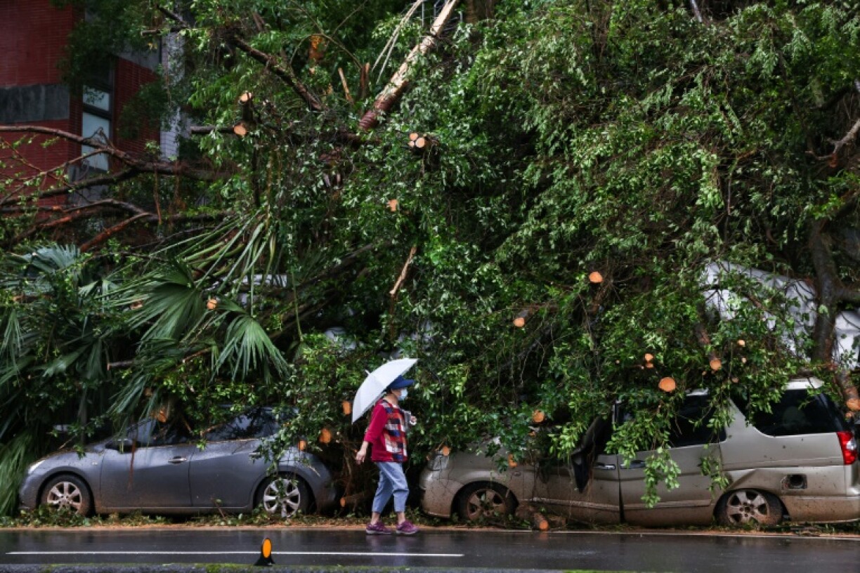 In Taiwan, one of the biggest typhoons to hit the island in decades uprooted trees, and triggered floods and landslides in October