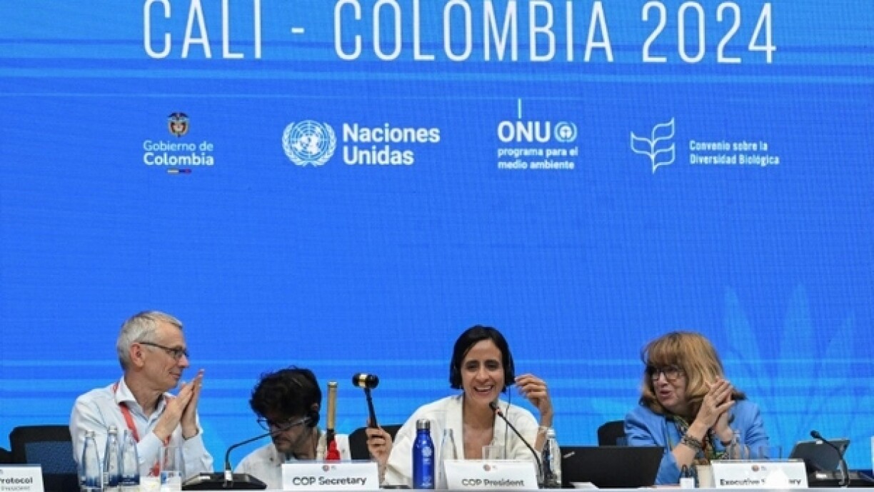 Le secrétaire exécutif de la COP16, David Cooper (g), la présidente colombienne de la COP16, Susana Muhamad (c), et la secrétaire de la COP16 Astrid Schomaker, lors de la dernière session plénière de la COP16 à Cali, le 2 novembre 2024 en Colombie