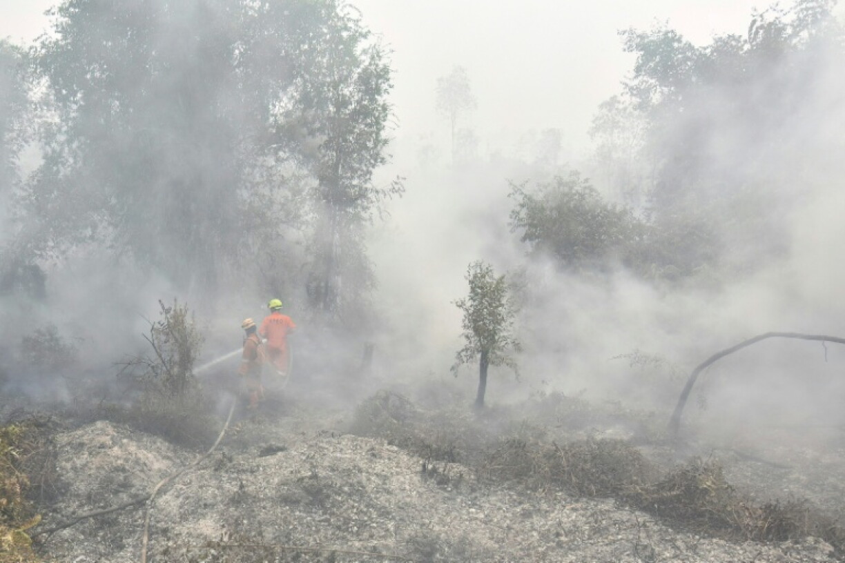 Firefighters extinguish forest and land fires in Banjar, South Kalimantan, Indonesia