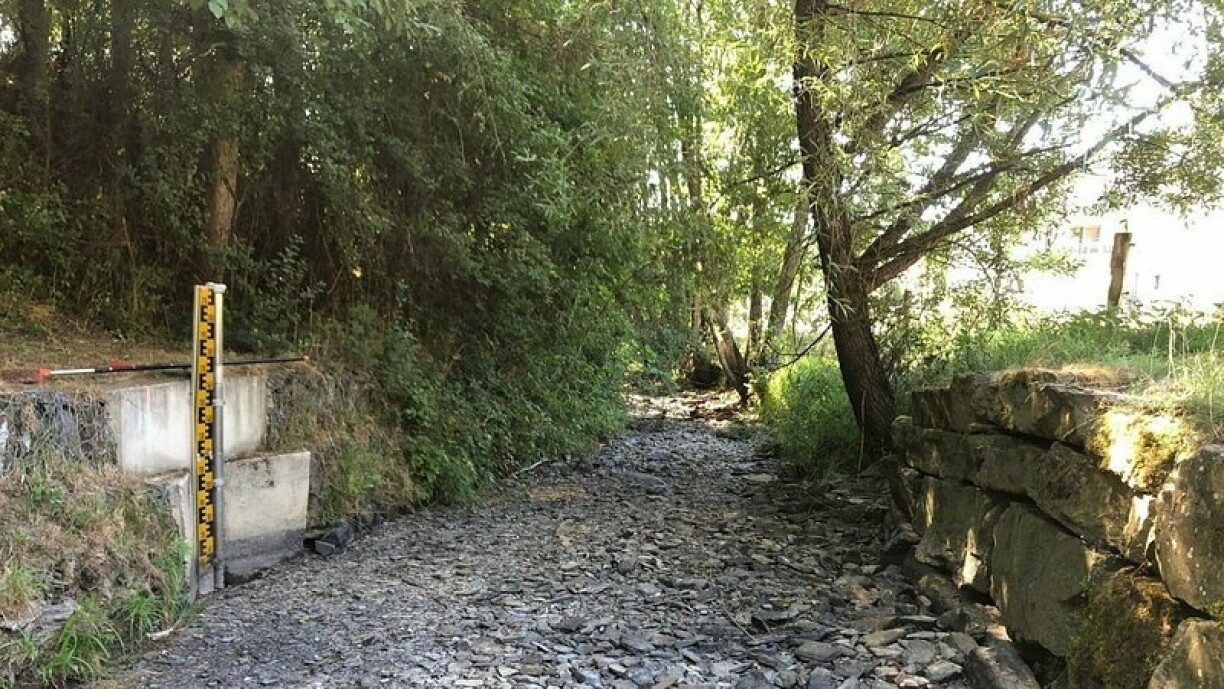 Le cours d'eau