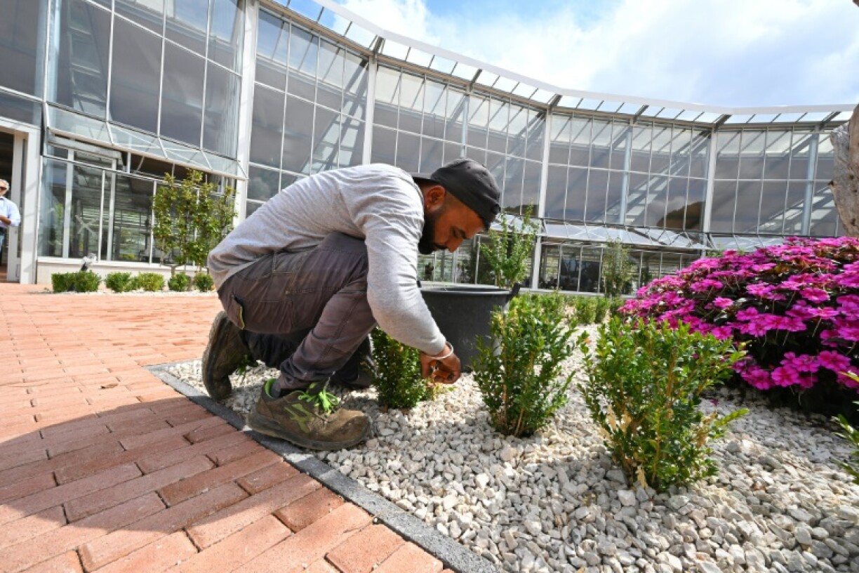 The centre was launched by Pope Leo's predecessor, Francis, in 2023