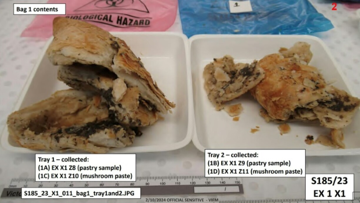 Leftover pieces of Erin Patterson's lethal beef Wellington during testing at a toxicology lab.