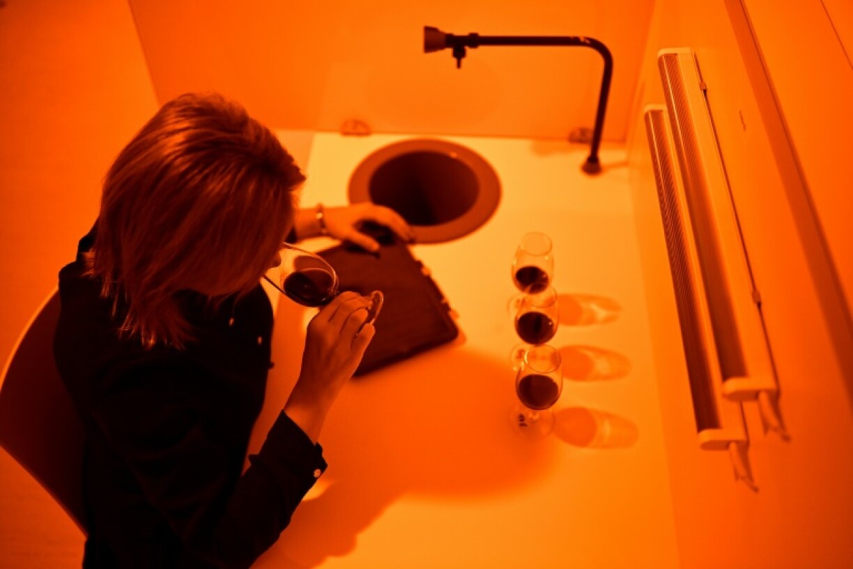 Une chercheuse goûte le vin expérimental du Château La Tour Carnet sous une lumière orangée de lampes au sodium, au laboratoire de l'Institut des sciences de la vigne et du vin, le 9 novembre 2023 à Villenave-d'Ornon, près de Bordeaux, en Gironde