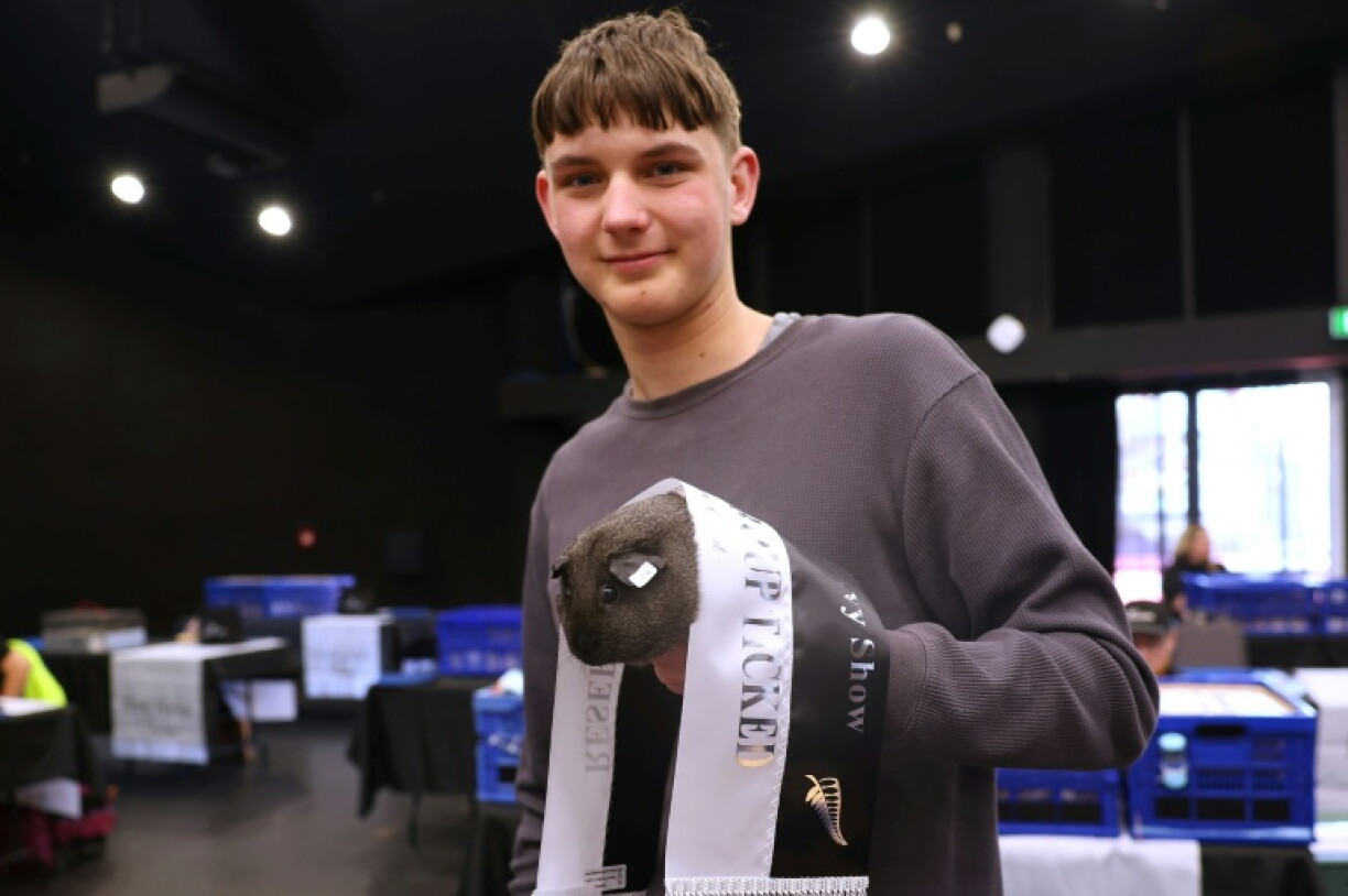Competitor Griffin Hopkins celebrates his guinea pig Geode Ember finishing runner up in its class during the New Zealand National Guinea Pig Show
