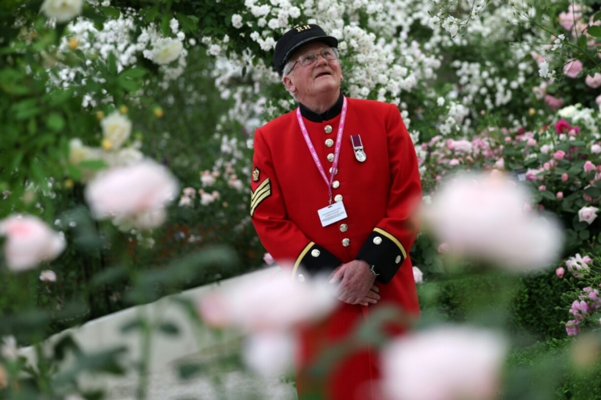 A Chelsea Pensioner looks at a display of roses at the RHS Chelsea Flower show in London