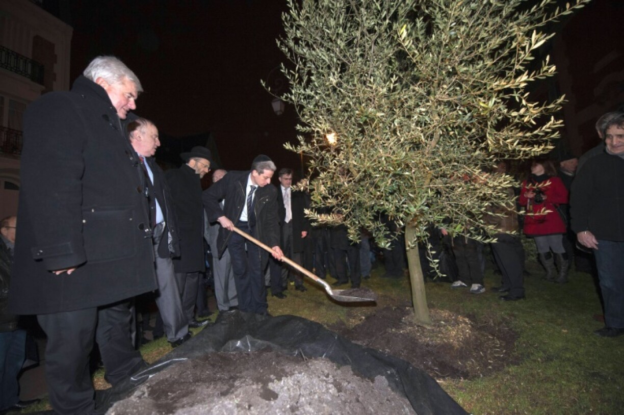 An olive tree was planted in memory of Ilan Halimi in the northern Paris suburb of Epinay-sur-Seine in 2011