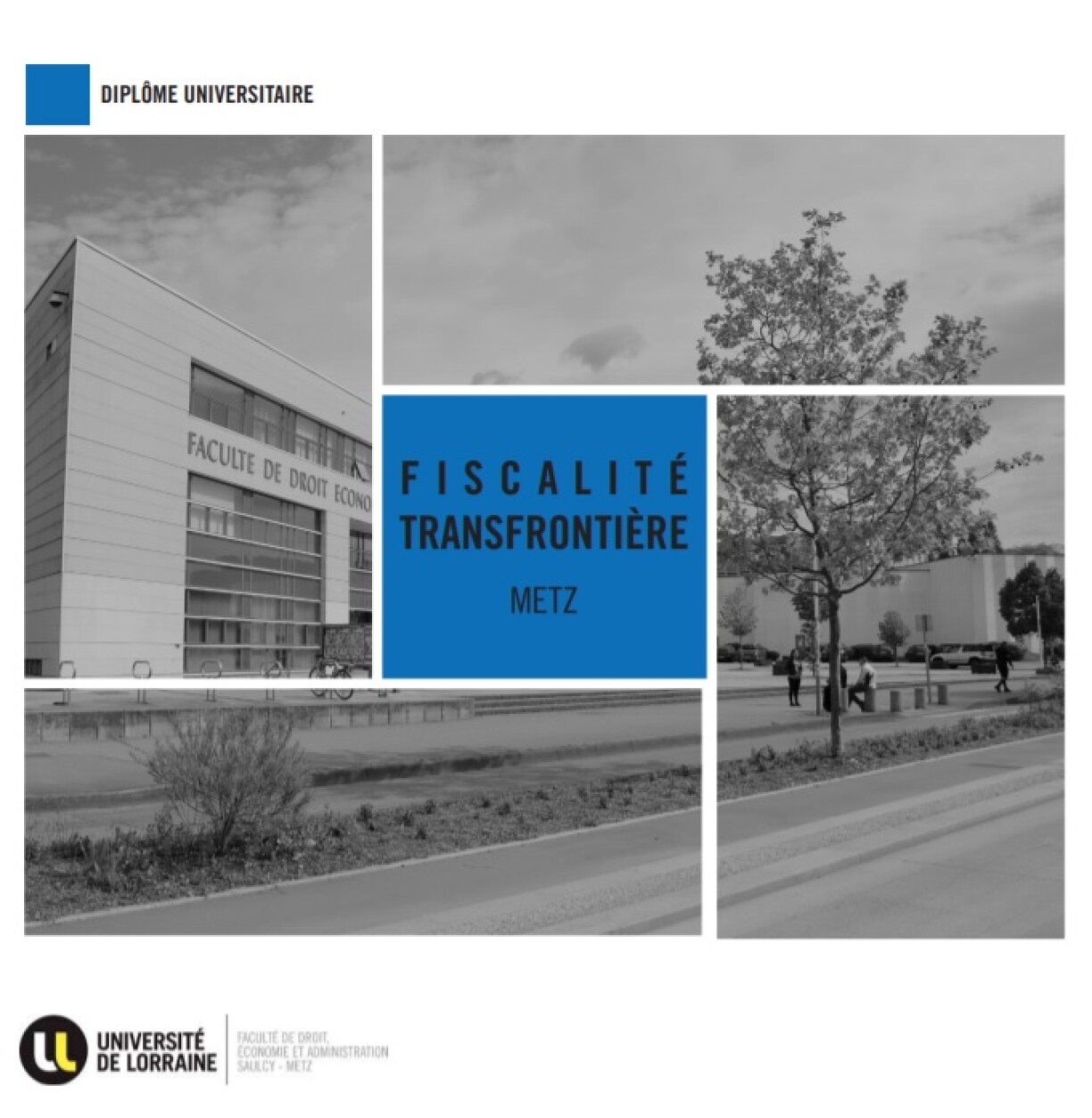 Cliquez sur l'image pour accéder au programme du diplôme universitaire.