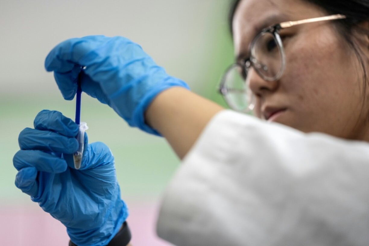 Researchers found DNA extracted from bed bugs that had fed on human blood could recover basic 'phenotypic profiling'