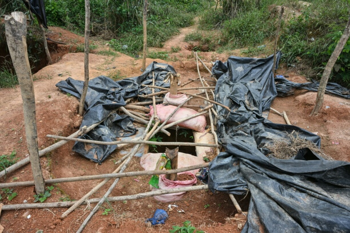 The government has toughened prison terms, increased surveillance and brigades to tackle the illegal gold rush
