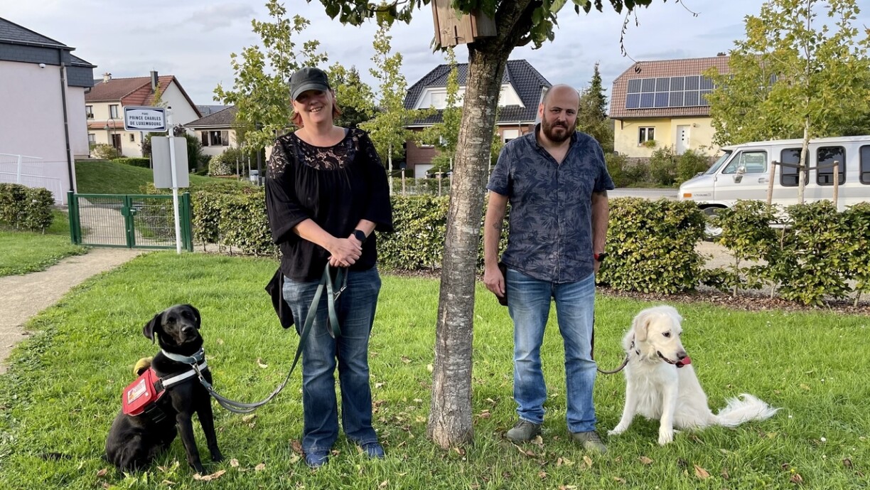 From left to right: labrador Lex, Marielle, Roberto, and golden retriever Sunny.