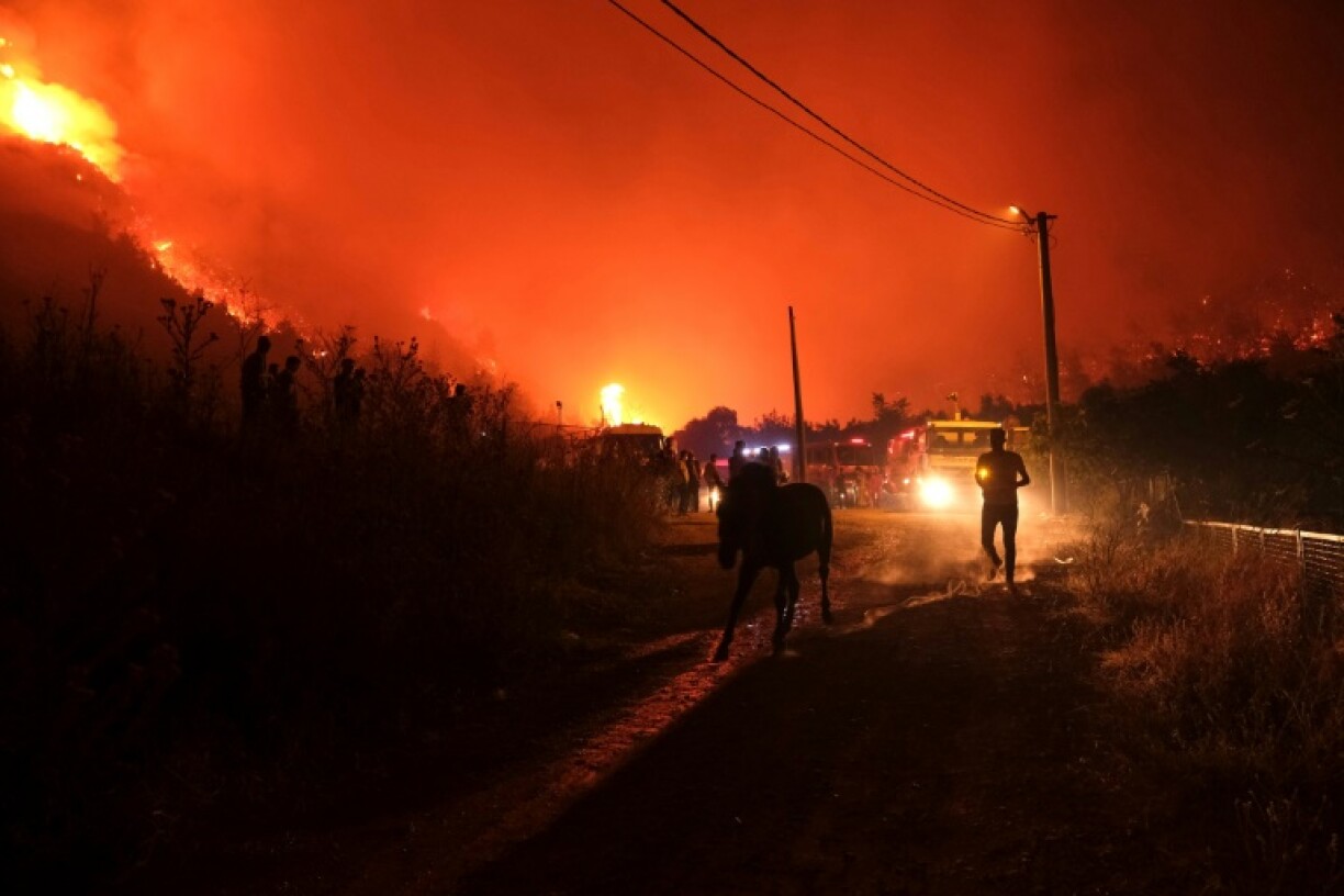 Wildfires across Turkey over the past week have led to at least 14 deaths