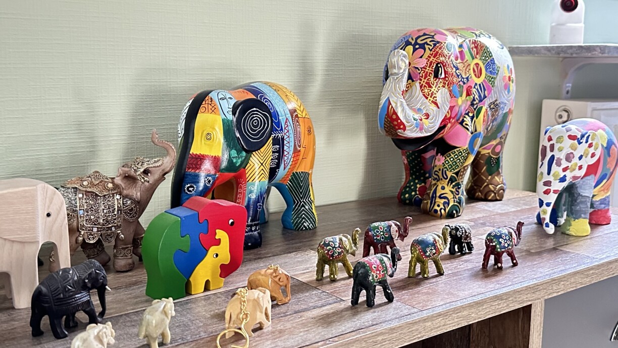 D'Annick huet a sengem Zëmmer eng grouss Sammlung vun Elefanten, eng vu senge Passiounen.