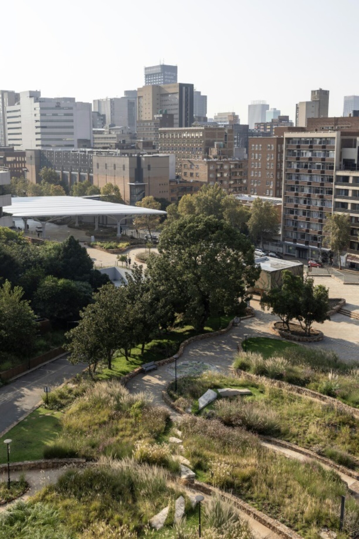 Coetzee also creates large ecological installations such as this work in downtown Johannesburg made with stones