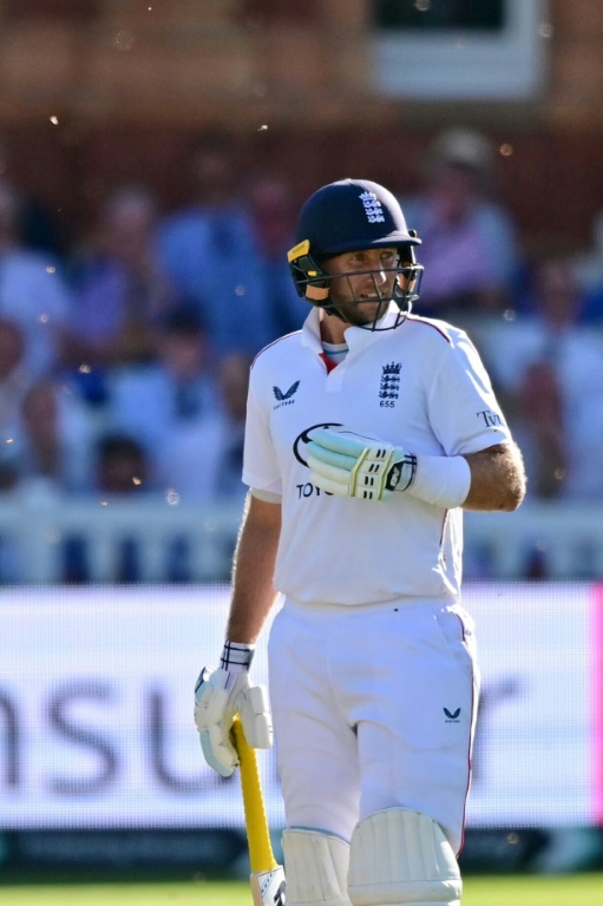 England's Joe Root failed to reach his century before close after an evening swarm of ladybirds briefly stopped play