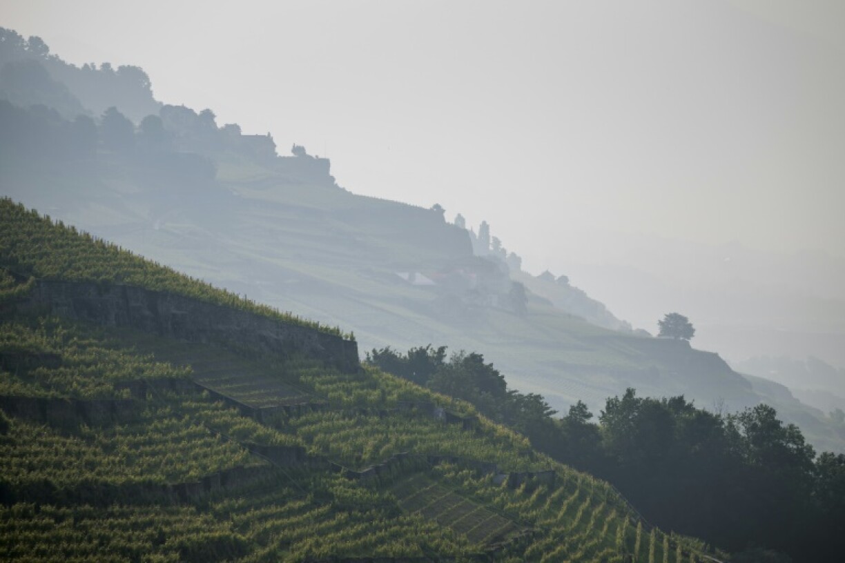 The terraced vineyards of the Swiss shores of Lake Geneva were left blanketed in haze from smoke from Canadian wildfires in June 2025