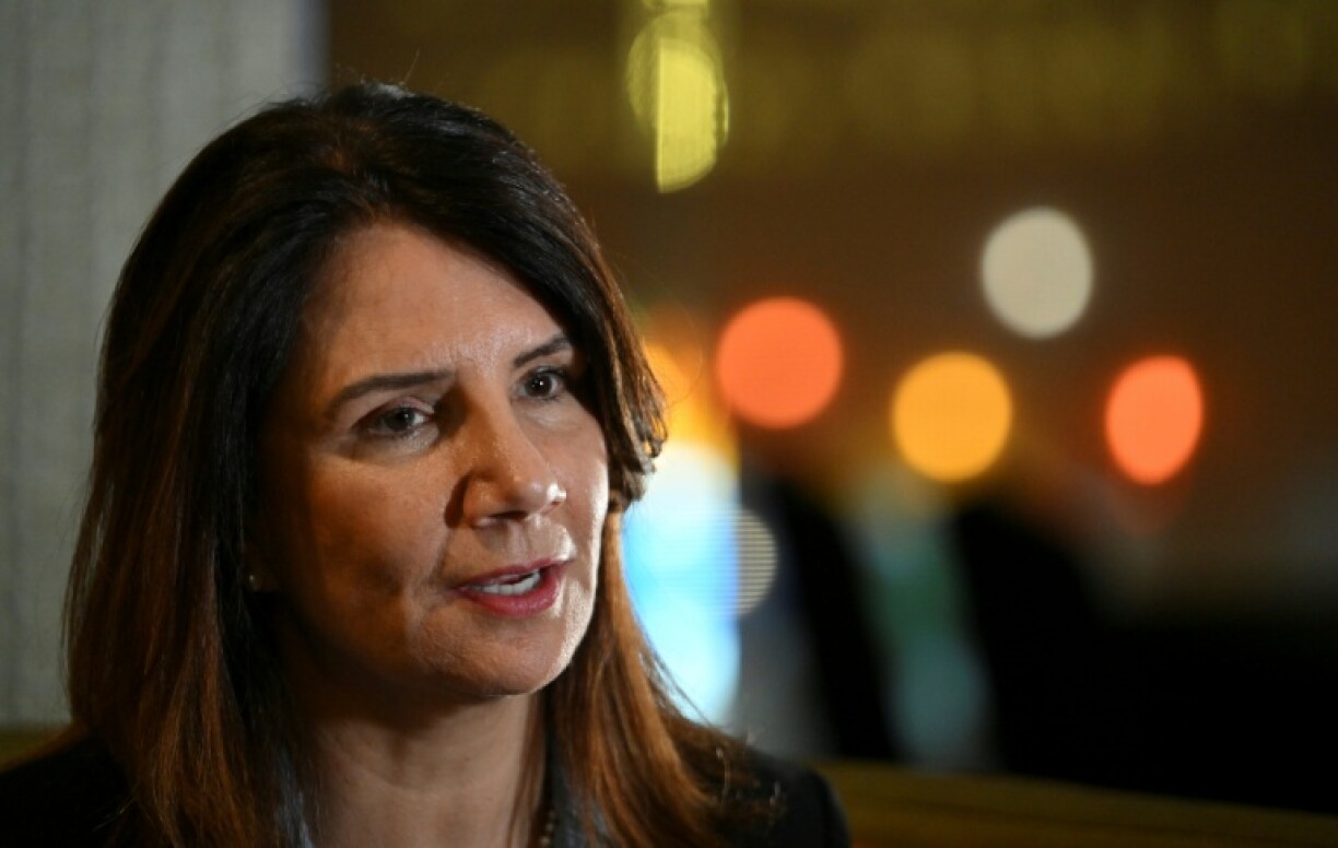 Ana Toni is Brazil's national secretary for climate change and CEO of the UN's COP30 conference to be held in Belem in November