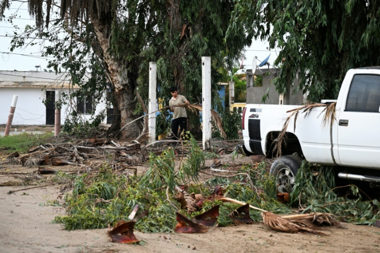 A man clears debris from fallen trees following the passage of Hurricane Polo in the Mexican town of Puerto San Carlos