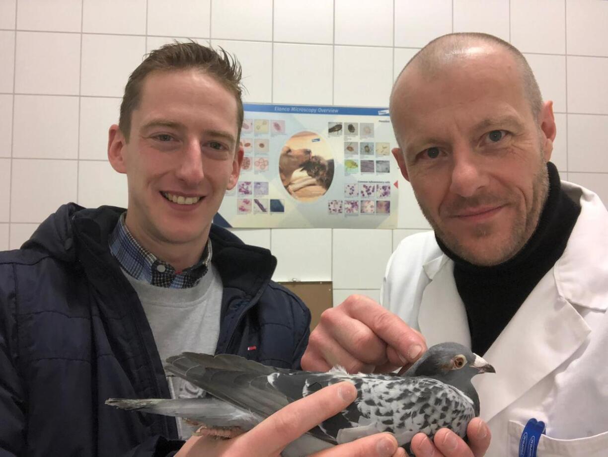 Och d'Ekipp vun de Staddauwe Lëtzebuerg setzt sech dat ganzt Joer an, fir den Dauwen an anere Villercher an Nout ze hëllefen. Dat Dag an Nuecht.