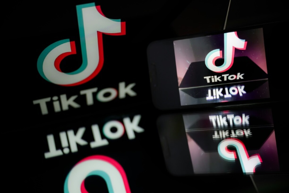 French lawmakers have expressed particular concerns about harms posed by TikTok as they called for a 'digital curfew' for minors