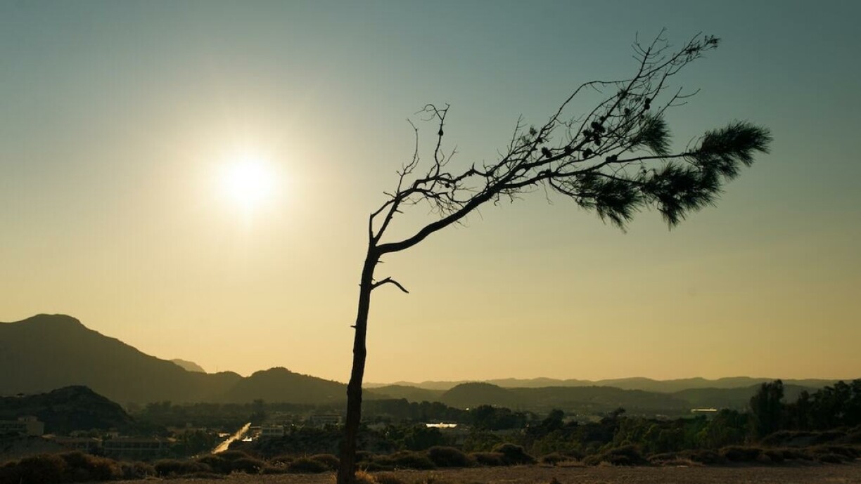 Image d'illustration