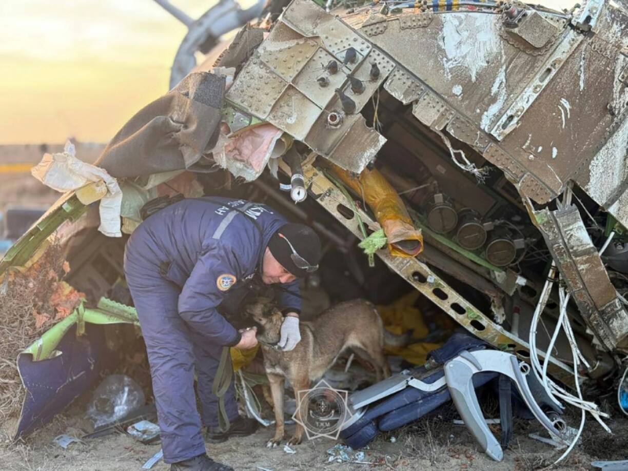 Ukraine said Russia 'must be held responsible for the downing' of the plane