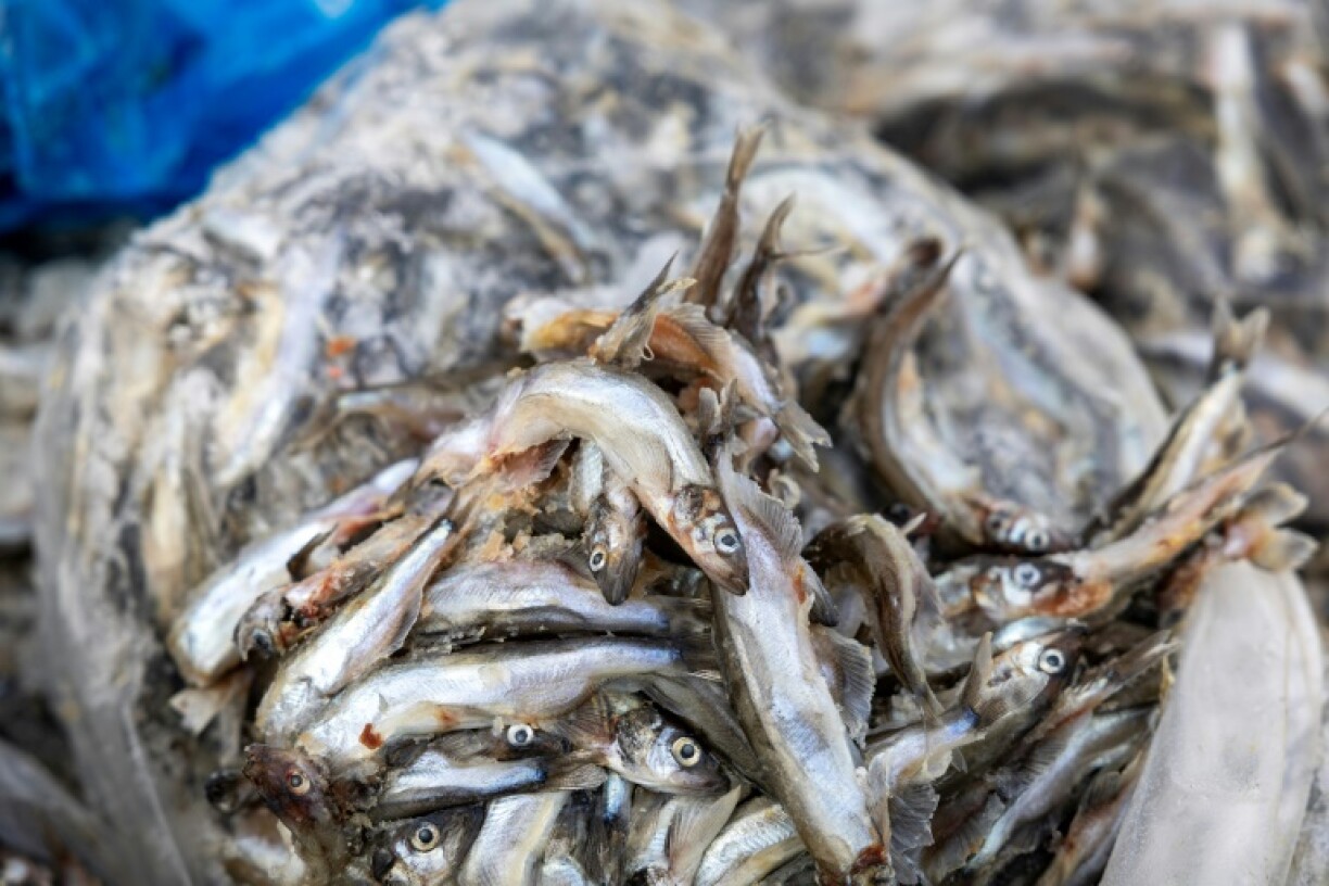 The ice-clad island depends on revenue from its fishing sector - and subsidies from Denmark