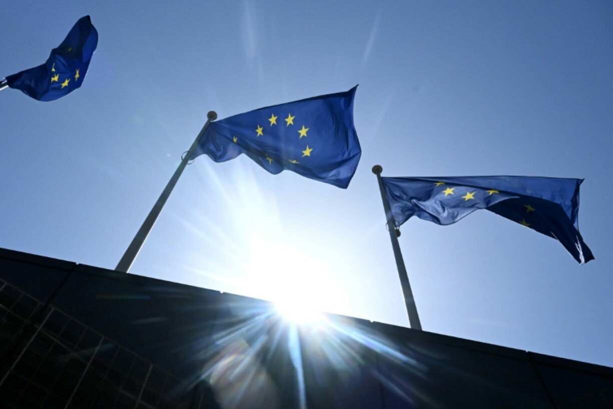 Companies, consultancies, non-governmental organisations and unions that want to influence policymaking must be listed in the transparency register