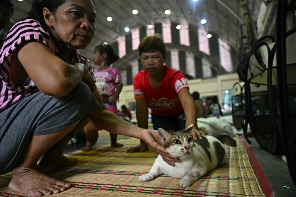 Her cats have been installed in their portable kennels at the Surin city shelter, drawing pets from curious onlookers waiting out the conflict
